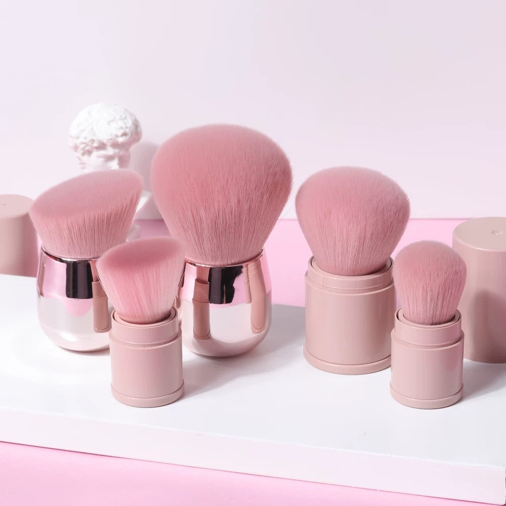 Makeup Brushes Set, Professional Foundation Eyeshadow Concealer Blush Powder Bronzer Applicator